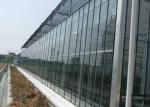 Fully Automatic Glass Greenhouse , Venlo Multi Span Greenhouse Corrosion