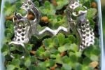 3D Printing Metal Skeleton Partial Denture Metal Framework