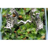 Buy cheap 3D Printing Metal Skeleton Partial Denture Metal Framework product