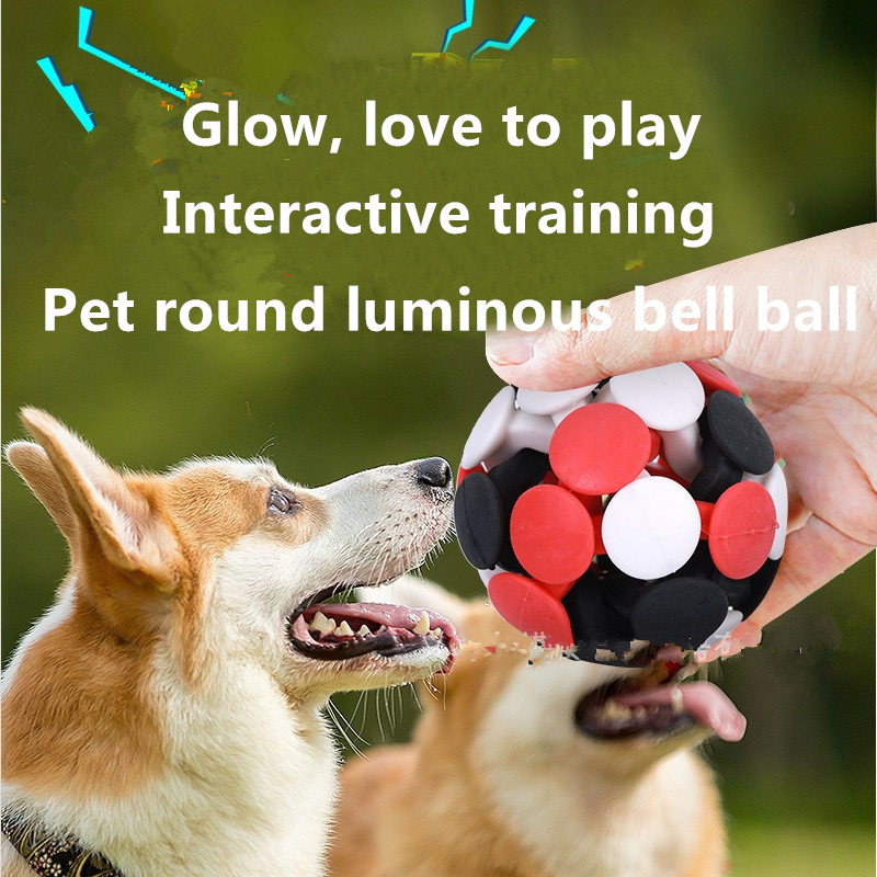 cat bell ball 