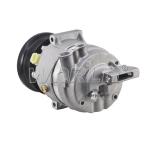 95907421 95966586 Vehicle AC Compressor For Chevrolet Aveo For Pontiac G3 1.6