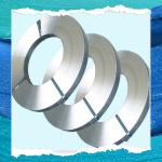 AISI Standard Stainless Steel Strip Coil Grade 441 0.01-4.0mm Thickness