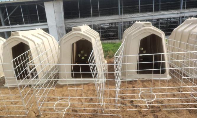 Rotational Molding Products for Customized Shapes and color PE Materia Rotomolding Calf hutch