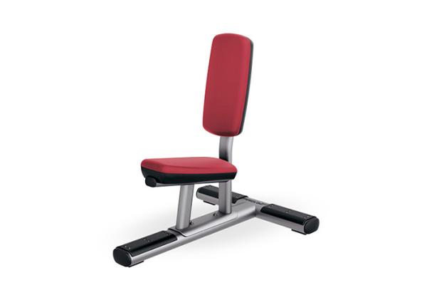 Buy cheap Indoor Commercial Gym Rack And Bench , Utility Bench Pro Fitness Equipment from wholesalers