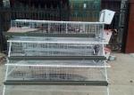 4 Tier 5 Doors Layer Chicken Cage 2300mm Width Poultry Layer Cage