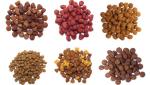 SBN Automatic Pet Cat Food Making Processing Line , Dog Food Manufacturing