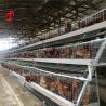 Buy cheap A Or H Type Layer Battery Cage System For 1000 To 20000 Birds Poultry Farm Iris from wholesalers