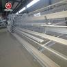 Buy cheap Silver Star Big Capacity Battery Chicken Cage A Type 4 Tiers from wholesalers