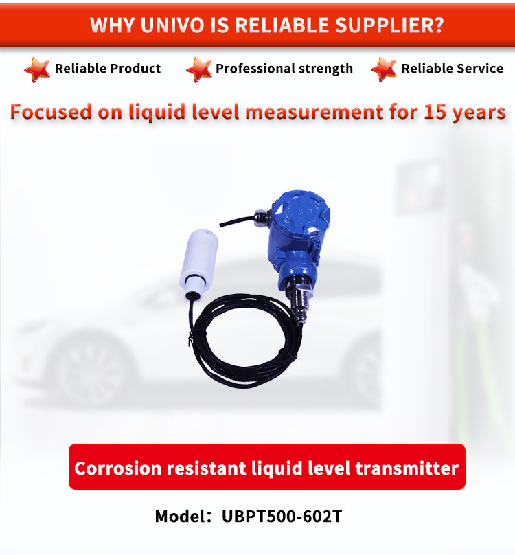 Customized Corrosion Resistant Level Sensor for Accurate Liquid Level Measurement