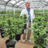 Buy cheap 100% Shading PE Automatic Blackout Greenhouse Light Dep For Herb Growing from wholesalers