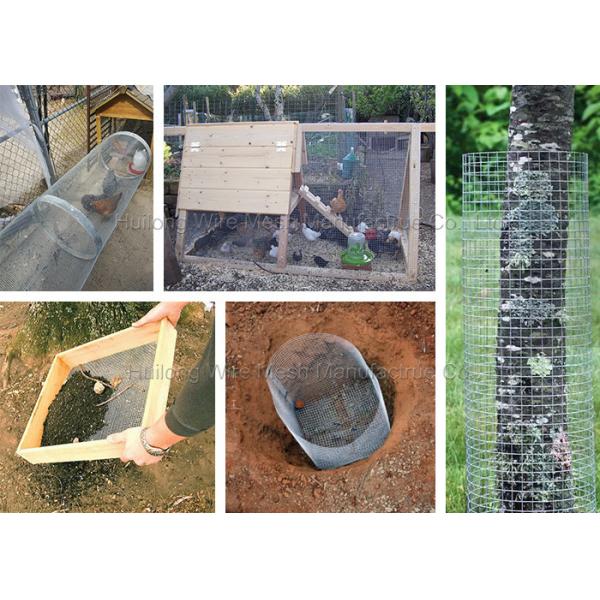 6ft Zinc Coated Welded Wire Mesh Rolls For Farming Or Breeding Fencing