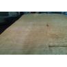 Buy cheap Yellow Ash Burl Wood Veneer With Ball Grain , Sliced Cut Veneer from wholesalers