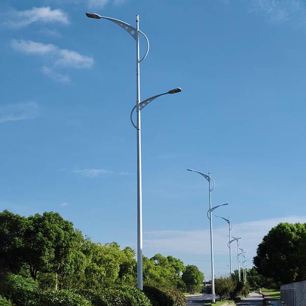 Buy cheap Customizable Street Light Pole Design with Hot-Dip Galvanized Steel Material from wholesalers