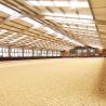 Buy cheap Customized Steel Buildings Covered Arena Kits Indoor Riding Arena from wholesalers