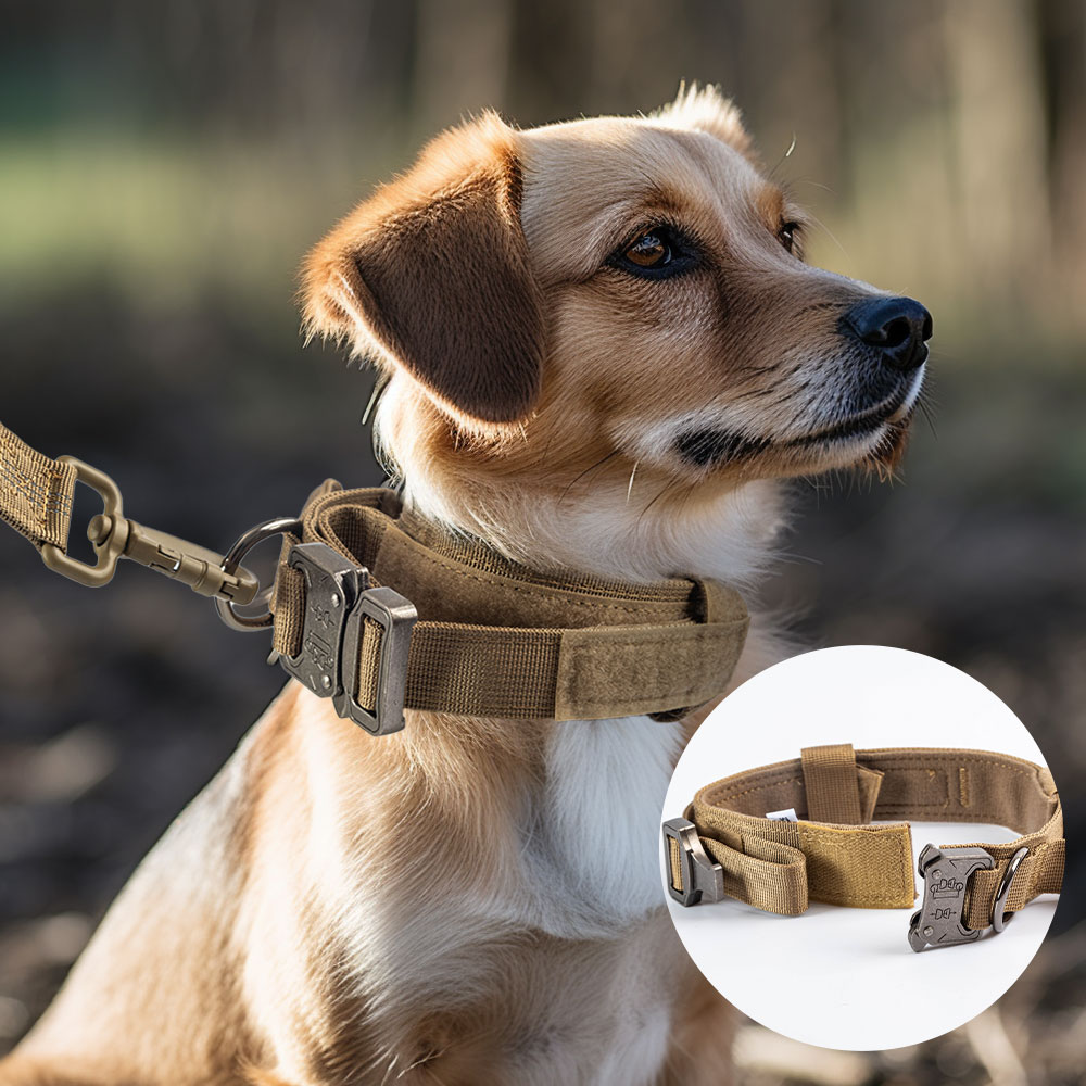 User-Defined Logo Tactical Dog Collar with Metal Buckle and Nylon Material