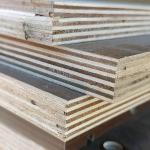 cheap price eucalyptus marine sheet plywood suppliers