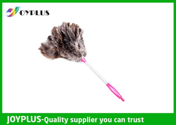 Buy cheap Household Feather Dusters Cleaning , Feather Duster Ostrich With Stainless Steel Handle from wholesalers