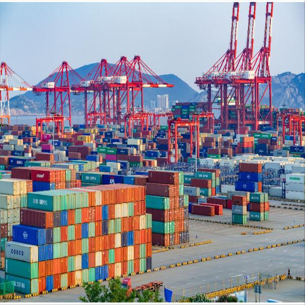 24 Hours Response Logistics International Sea Freight Shipping Service From