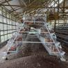 Buy cheap 3, 4, 5 Tiers A Frame Layer Cages Chicken Poultry Laying Hens House Equipment from wholesalers