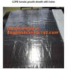 Buy cheap Polyethylene Commercial Tunnel Greenhouse Film for Tomato Planting 200micron,Tomato Growth Plant Tomato Film,film coveri from wholesalers