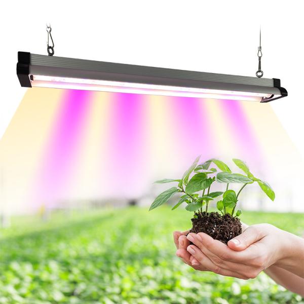 Buy cheap 20w 30w 60w Samsung Lm281b LED Horticulture Grow Light from wholesalers