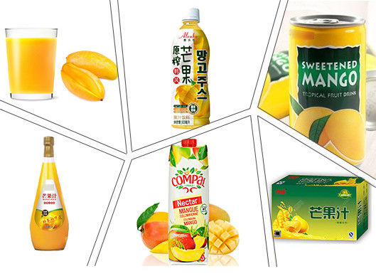 Aseptic Bag 1t/H SUS304 Mango Pulp Processing Plant