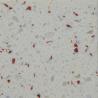 Buy cheap White Artificial Kitchen Countertop Materials Quartz Tops With Sink from wholesalers