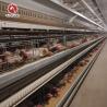 Buy cheap Layer Chicken Egg Cage Battery Cages For Farm 3 Tiers 4 Tiers from wholesalers