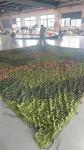 Snow Military Camouflage Net Camping Hunting Decoration Blind Cover