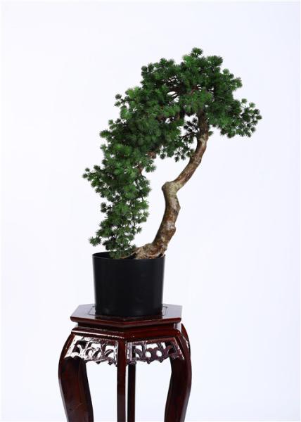 Buy cheap Household Preserved Bonsai BC066 Tree Residential With Plastic Grow Pot Base from wholesalers