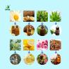 Buy cheap Citrus Essential Oil Extractor Machine TOPTION Herbal Oil Extractor from wholesalers