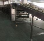 ISO 9000 220V Roti Tortilla Flat Bread Production Line
