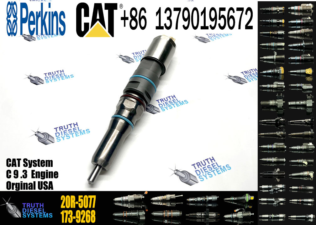 Fuel Injector Common Rail Injector 456-3493 367-4293 363-0493 20R-5077 364-8024 171-9704 196-1401 For Cat C9.3