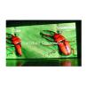 Buy cheap Super Bright P5 Led Advertising Screens Full Color 1R1G1B For Conference Room from wholesalers