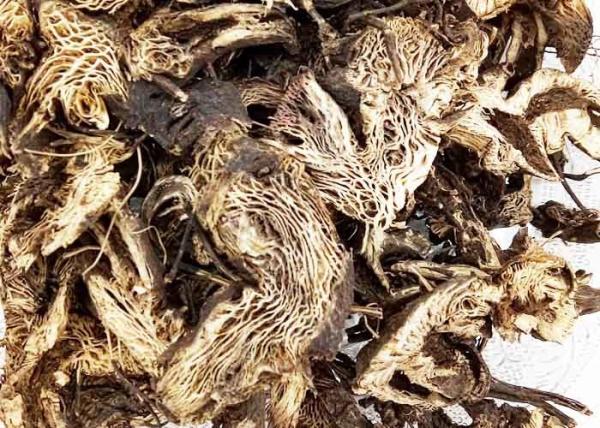 Buy cheap Light Grey Brown Color Black Cohosh Root Crude Type Sliced Or Whole Shape from wholesalers