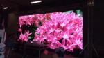 Indoor Full Color High Resolution Led Display P1.875 Die Casting Aluminum
