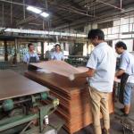 Rosewood Cat'S Eye X209 Rare Species Engineered Wood Veneer 0.55mm Thickness