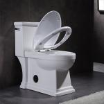 One Piece Elongated Skirted Toilet 1.6 Gpf Siphonic Flushing Toilet White