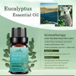 Natural 100% Pure Eucalyptus Essential Oil Aromatherapy 100ml OEM FDA