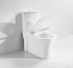 S Trap Siphonic One Piece Toilet Gravity Flushing Bathroom Suites