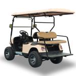 New Energy Lithium Battery Lead Acid Battery 4 Seater Golf Cart Classic Brown