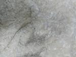 Premium 100% Polyester Warp Knitted Fabric For Garments