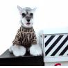 Buy cheap 52cm Small Dog Pajamas from wholesalers