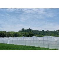 Buy cheap Customized Design Plastic Film Greenhouse , Lettuces Multi Tunnel Greenhouse product