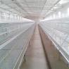 Buy cheap Corrosion Resistant Poultry Layer Cage , Durable Ground Bird Feeder Cage from wholesalers