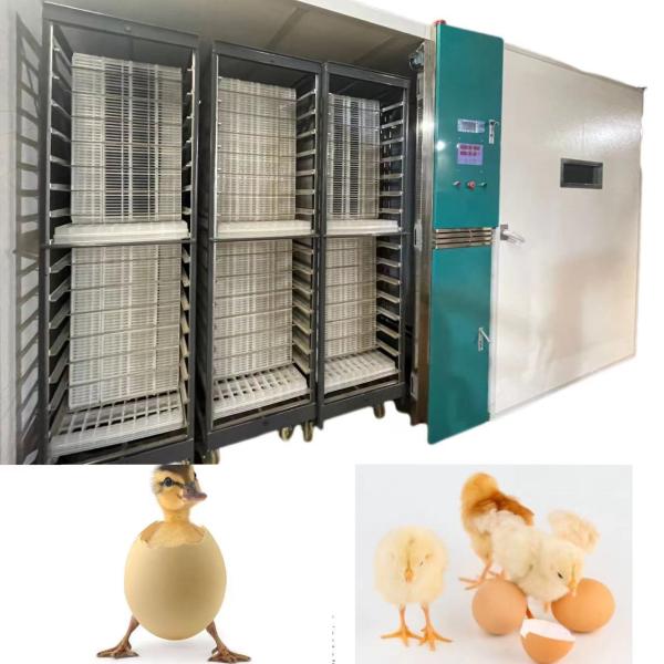 Buy cheap ONELYE 12000 Automatic Egg Incubator Incubate The Ducks Gooses Pigeons from wholesalers