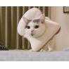 Buy cheap 23cm 26cm Opp Bag Packing Anti Lick Collar Cats from wholesalers