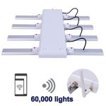 Solar House High PPE LED Grow Light Bar 650 Watt 3 Years Guarantee