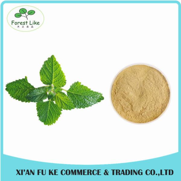 Buy cheap Peppermint / Mentha Haplocalyx Leaf Extract Menthol from wholesalers