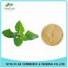 Buy cheap Peppermint / Mentha Haplocalyx Leaf Extract Menthol from wholesalers